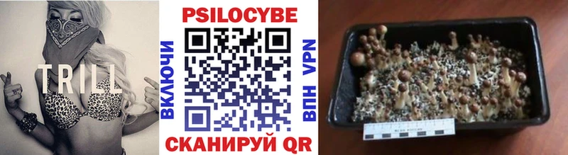 Галлюциногенные грибы MAGIC MUSHROOMS  Власиха 